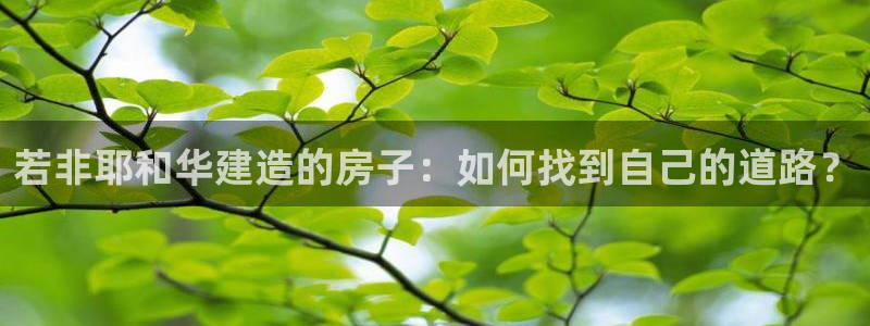 威九国际里的长头发帅哥名字：若非耶和华建造的房子：如何找到自己的道路？