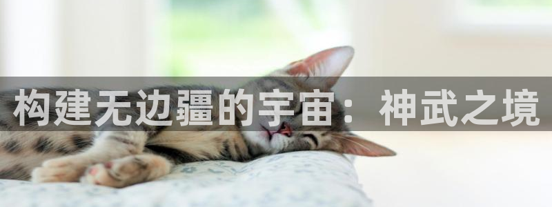 威九国际和之前：构建无边疆的宇宙：神武之境