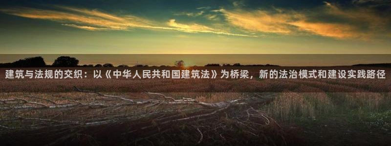 威九国际演员表：建筑与法规的交织：以《中华人民共和国建筑法》为桥梁，新的法治模式