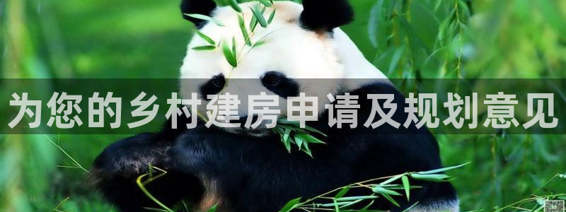 威九国际正规吗：为您的乡村建房申请及规划意见