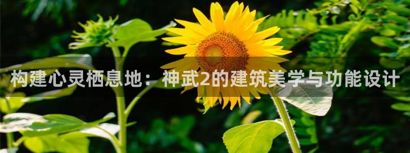威九国际78mob游戏亮点：构建心灵栖息地：神武2的建筑美学与功能设计