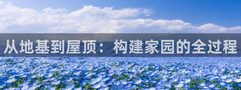 威九国际78mob游戏亮点：从地基到屋顶：构建家园的全过程