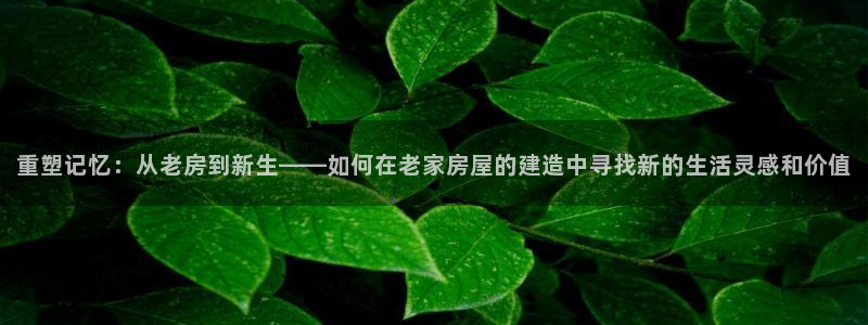 威九国际66cm：重塑记忆：从老房到新生——如何在老家房屋的建造中寻找新的生活灵感和价值