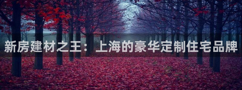 威九国际网站人入口：新房建材之王：上海的豪华定制住宅品牌