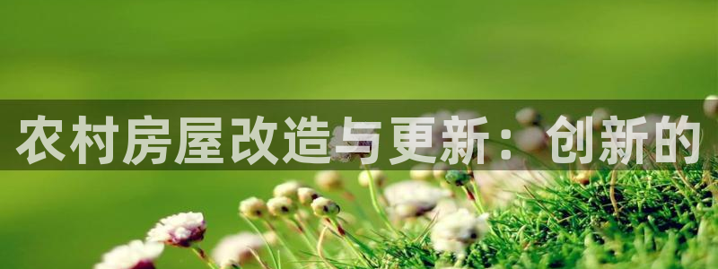 威九国际mb：农村房屋改造与更新：创新的