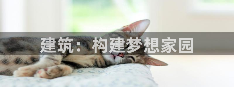 威九国际网站进入产品分类：建筑：构建梦想家园