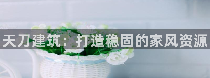 威九国际78mb玩法：天刀建筑：打造稳固的家风资源