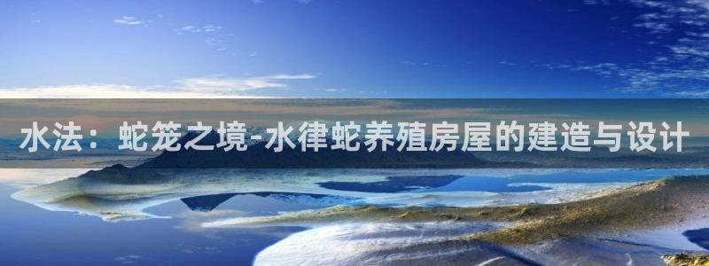 保定威九网络科技有限公司怎么样
