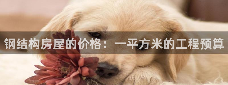 威九国际抡里：钢结构房屋的价格：一平方米的工程预算