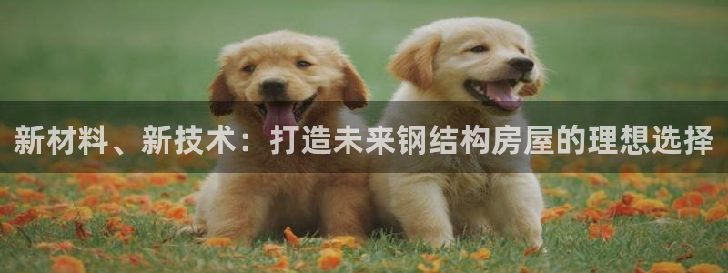 威九国际X8：新材料、新技术：打造未来钢结构房屋的理想选择