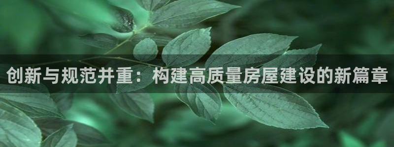 威九国际Sxsx：创新与规范并重：构建高质量房屋建设的新篇章