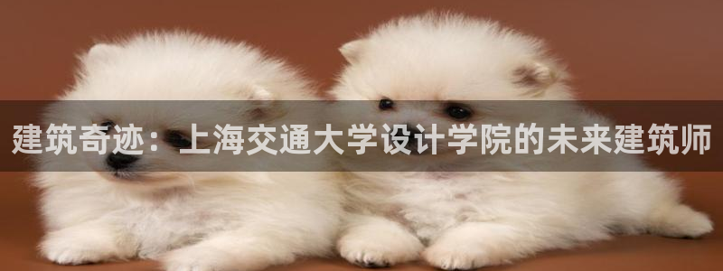 威九国际瘫痪丈夫眼见证：建筑奇迹：上海交通大学设计学院的未来建筑师