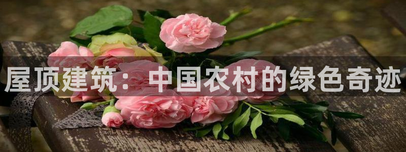 威九国际66m免费下载：屋顶建筑：中国农村的绿色奇迹