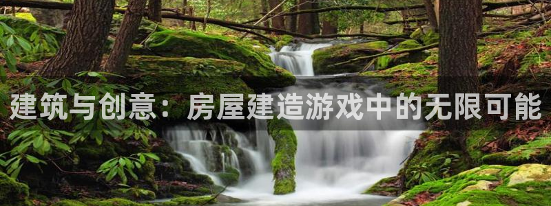 威九国际系列：建筑与创意：房屋建造游戏中的无限可能