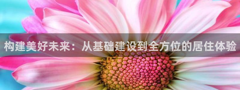 威九cp：构建美好未来：从基础建设到全方位的居住体验