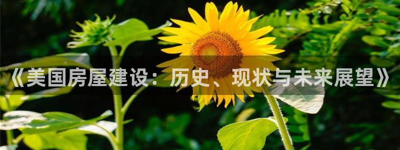 威九国际图片