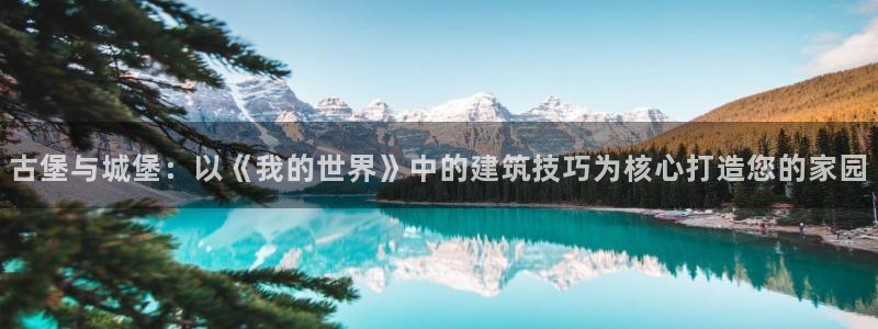 78mapp威九国际成长视频