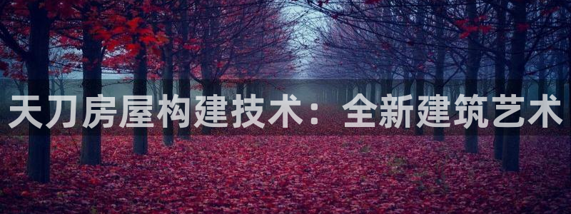 威九国际app哪个地方：天刀房屋构建技术：全新建筑艺术
