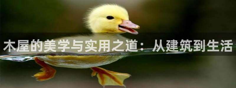 威九国际78mob游戏说明：木屋的美学与实用之道：从建筑到生活