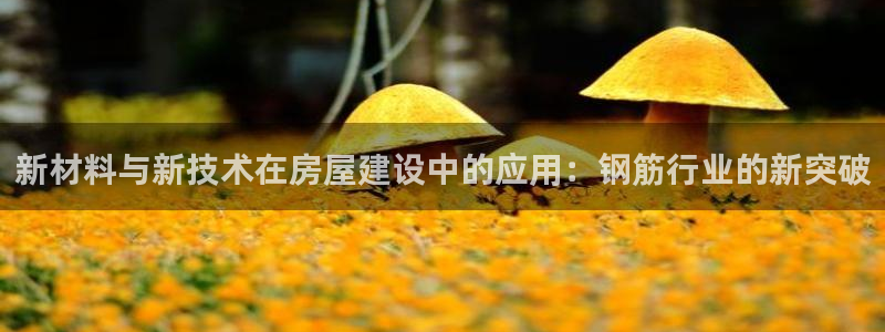 威九国际v8：新材料与新技术在房屋建设中的应用：钢筋行业的新突破