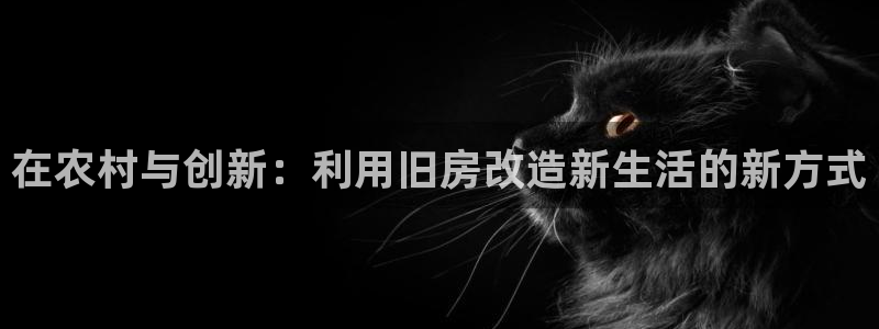 威九国际APP大全：在农村与创新：利用旧房改造新生活的新方式