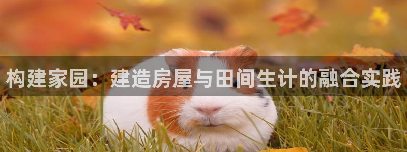 威九国际网站进入AB,AB：构建家园：建造房屋与田间生计的融合实践