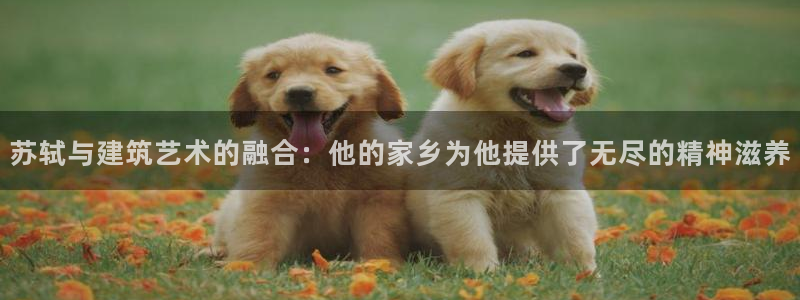 威九国际官网在线进入网站查询网址：苏轼与建筑艺术的融合：他的家乡为他提供了无尽的精神滋养