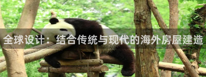 威九国际体育：全球设计：结合传统与现代的海外房屋建造