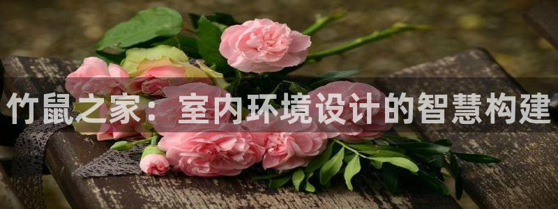 威九国际免费：竹鼠之家：室内环境设计的智慧构建