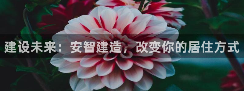 威九国际网站进入产品中心怎么进