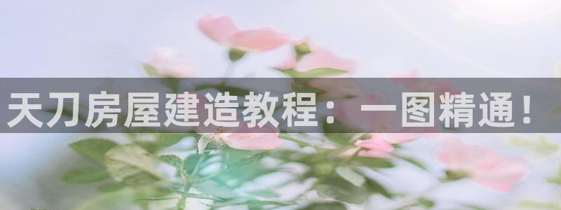 威九国际78mb游戏