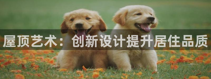 威九国际取款不会被骗吧