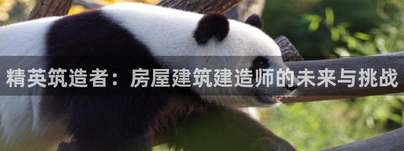 威九国际官方网站：精英筑造者：房屋建筑建造师的未来与挑战