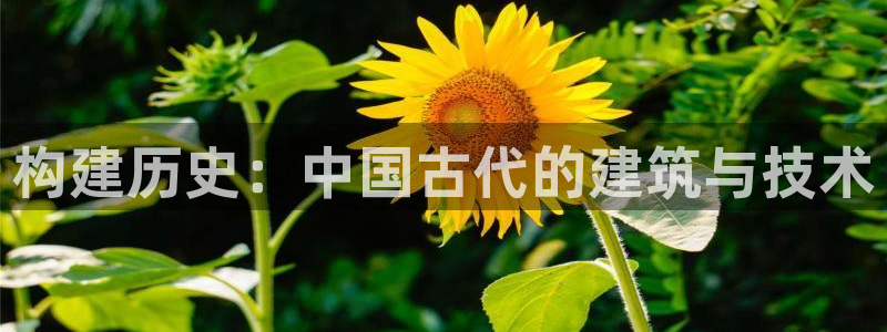 威九国际入囗：构建历史：中国古代的建筑与技术