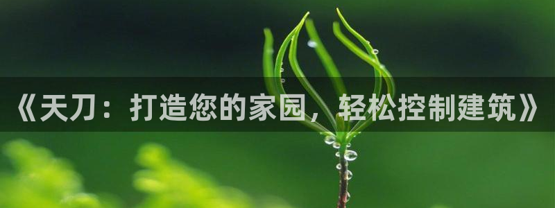 威九国际摩托电影HD：《天刀：打造您的家园，轻松控制建筑》