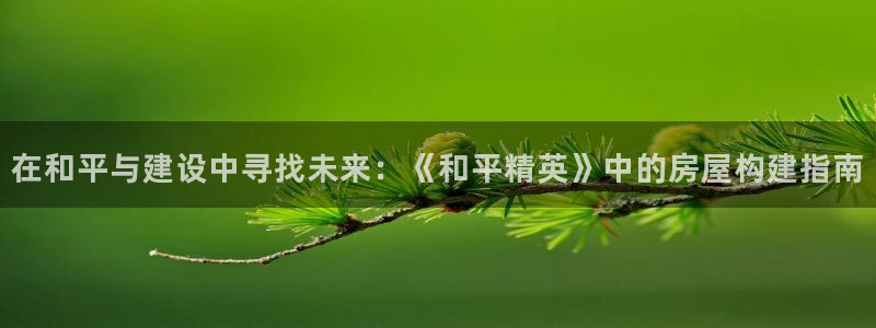 威九国际app网站：在和平与建设中寻找未来：《和平精英》中的房屋构建指南