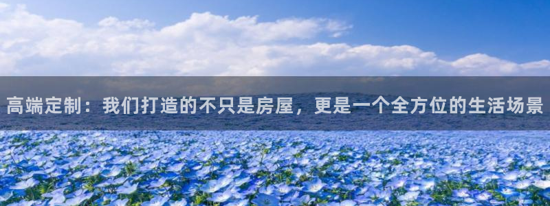 威九国际的金融服务有哪些：高端定制：我们打造的不只是房屋，更是一个全方位的生活场景