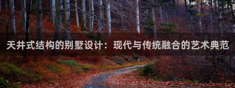 威九国际电视：天井式结构的别墅设计：现代与传统融合的艺术典范