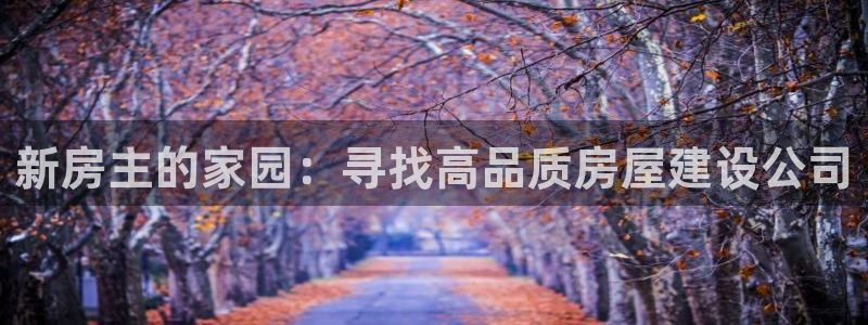 威九国际78mb：新房主的家园：寻找高品质房屋建设公司