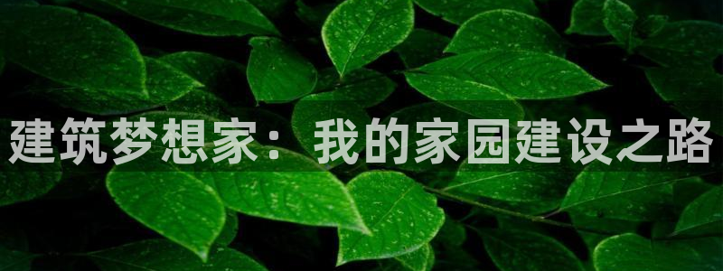 威九国际78m小说：建筑梦想家：我的家园建设之路