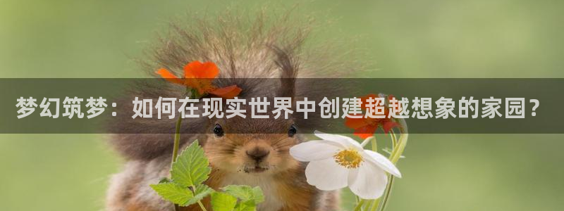 威九国际78mob游戏说明：梦幻筑梦：如何在现实世界中创建超越想象的家园？