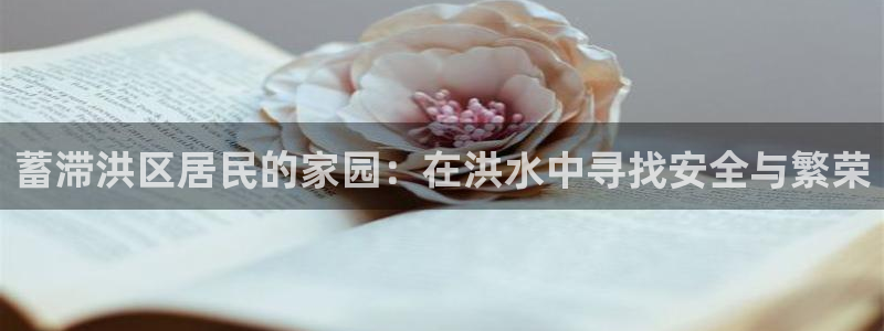 威九国际软件公司简介：蓄滞洪区居民的家园：在洪水中寻找安全与繁荣