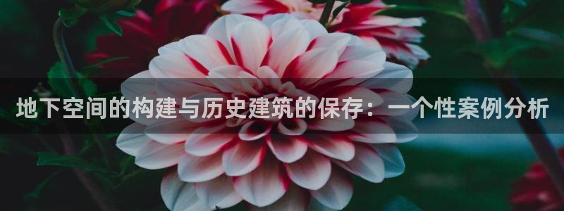 威九国际A：地下空间的构建与历史建筑的保存：一个性案例分析