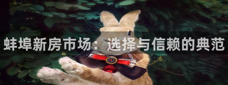 威九国际EVA：蚌埠新房市场：选择与信赖的典范