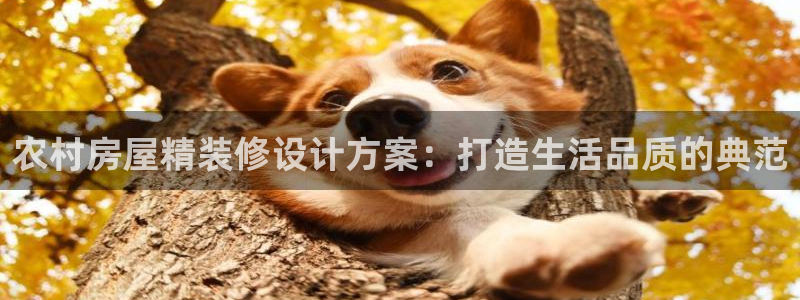 保定威九网络科技有限公司是干嘛的：农村房屋精装修设计方案：打造生活品质的典范