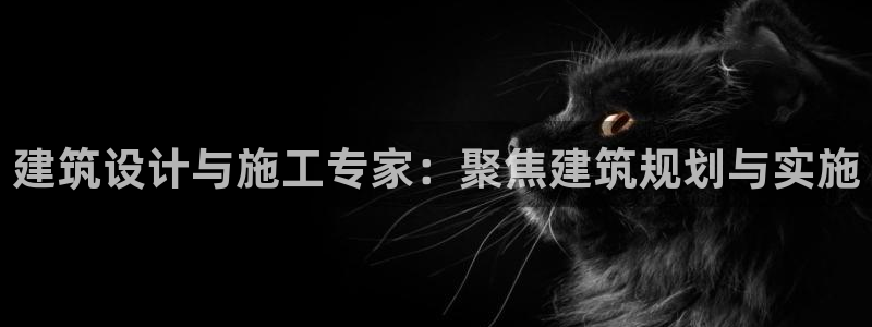 威九国际小说：建筑设计与施工专家：聚焦建筑规划与实施