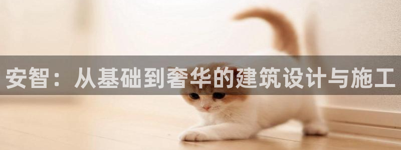 威九国际的演员：安智：从基础到奢华的建筑设计与施工