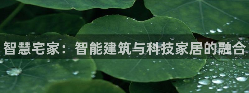 威九国际网站：智慧宅家：智能建筑与科技家居的融合