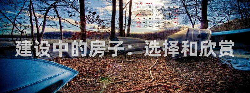 威九国际app客服电话：建设中的房子：选择和欣赏