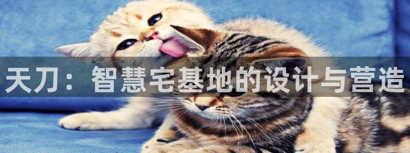 威九国际最新网站：天刀：智慧宅基地的设计与营造